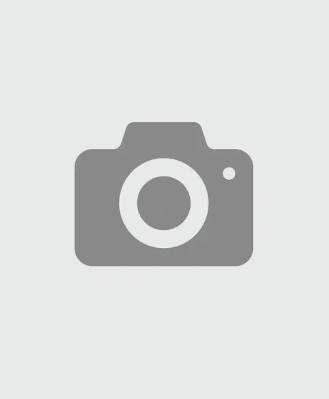 Imagem do Produto: Pistão de Ferro W20 L32409